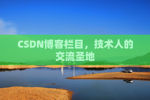 CSDN博客栏目,技术人的交流圣地